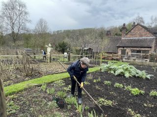 Carol Morris, Volunteer, In The Garden At Blists Hill Victorian Town (2) 03 2024